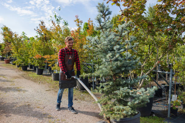 Best Tree Planting Services  in Sultan, WA